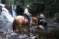 Canada-British Columbia-Cariboo Wilderness Lodge